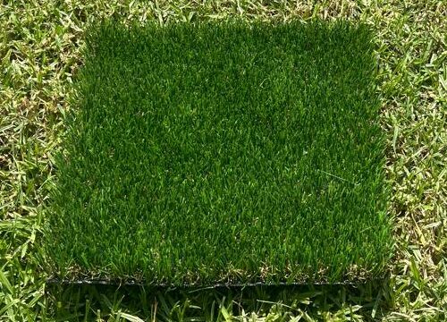 Balito Premium (25MM)