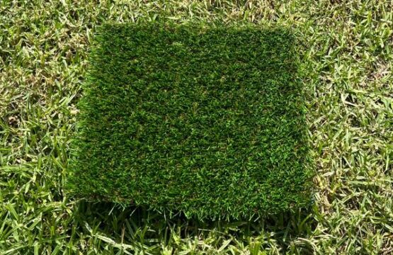 Eco Bela Bela (25MM)