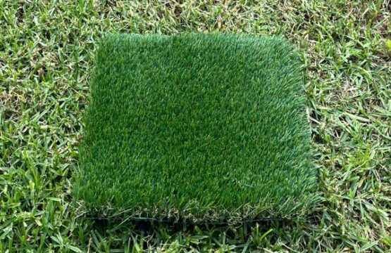 Namaqua Premium (35MM)