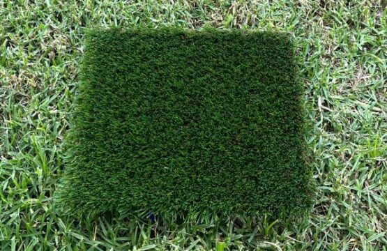 Parys Premium (30MM)