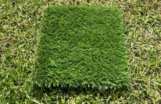 Pet Micro Bacterial (30MM)